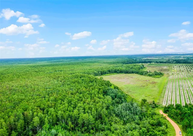 Photo 1 of Land for sale at S Boggy Marsh Rd, Clermont, FL 34711 | MLS# G5078907 | Listing updated on 2026-09-06
