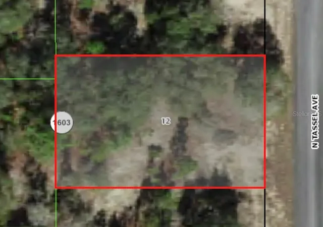 1st image of 6706 N Tassel Ter, Dunnellon, FL 34433 | MLS# A4601731