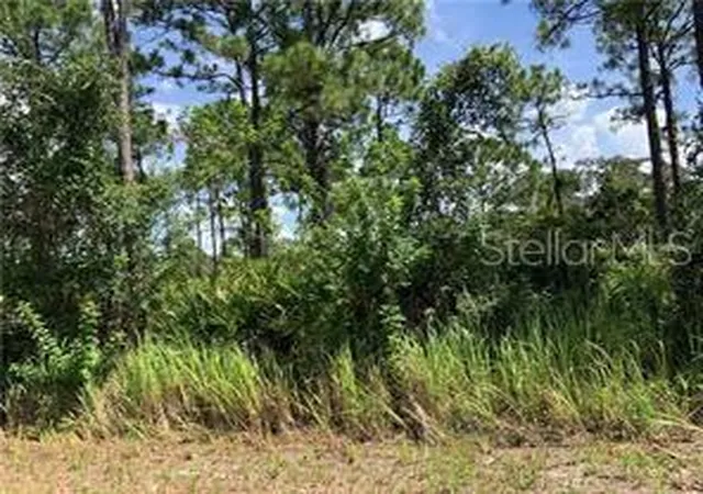 1st image of 1127 Lake Groves Rd Nw, Lake Placid, FL 33852 | MLS# OM674049