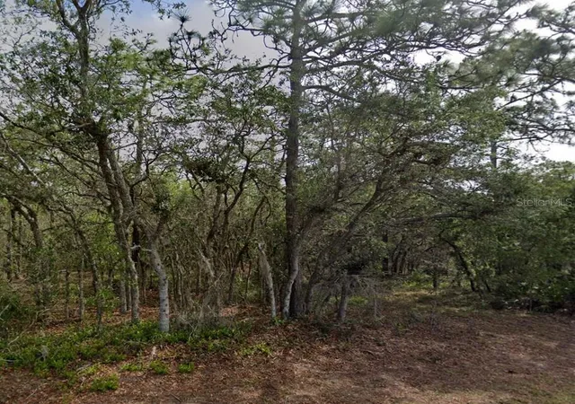 1st image of 10 Milbark Dr, Homosassa, FL 34446 | MLS# W7862827
