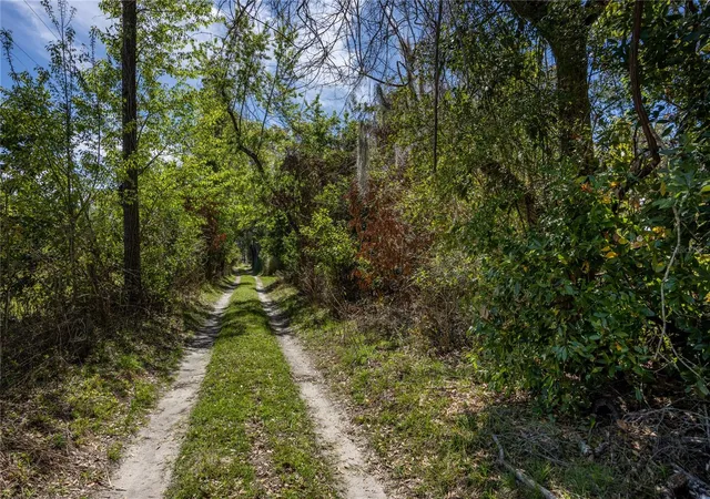 3rd image of Nw 253Rd St, High Springs, FL 32643 | MLS# GC520265