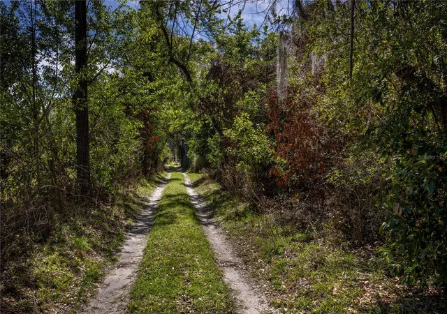 4th image of Nw 253Rd St, High Springs, FL 32643 | MLS# GC520265
