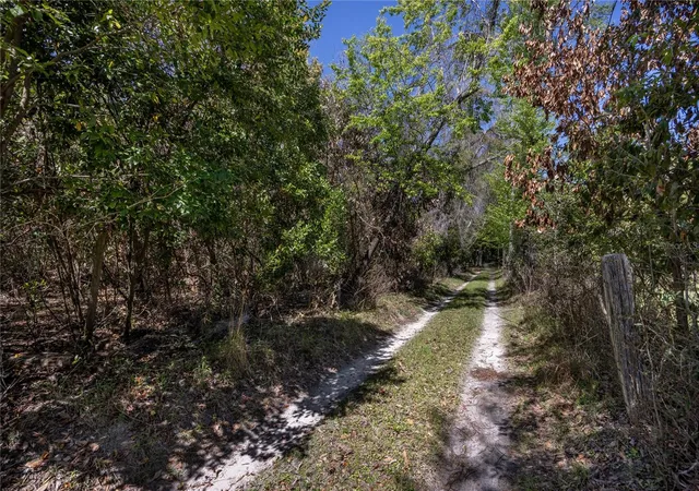 5th image of Nw 253Rd St, High Springs, FL 32643 | MLS# GC520265