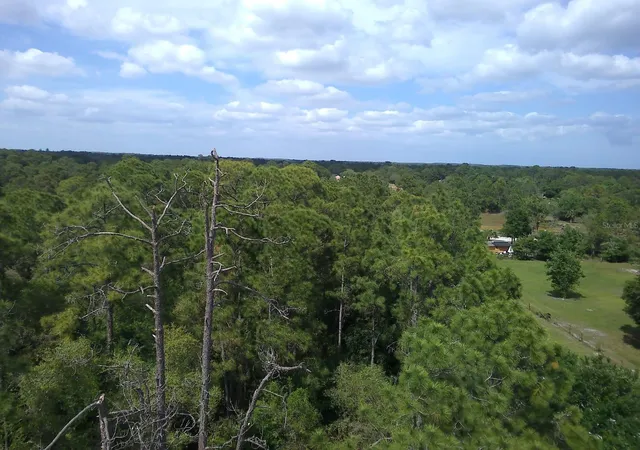 11th image of 421 Avenida Del Sur, Clewiston, FL 33440 | MLS# OM675331