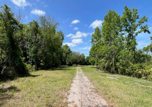 5th image of 445 Van Arsdale St, Oviedo, FL 32765 | MLS# O6191809