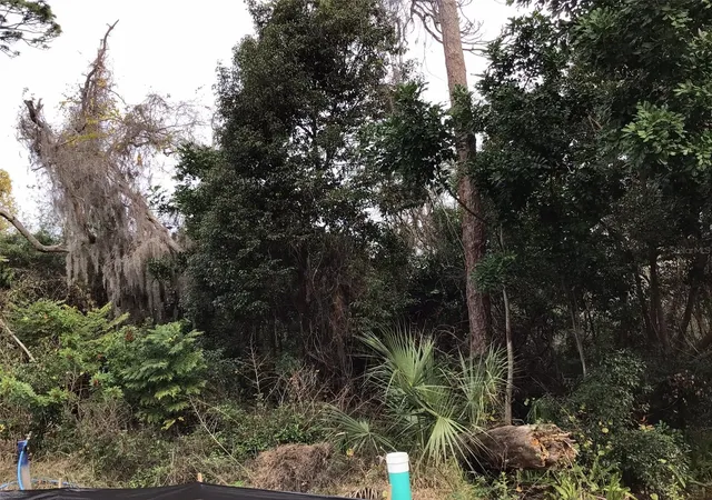 Photo 2 of Land for sale at 1305 Almaria Ct, Palm Harbor, FL 34683 | MLS# U8238017 | Listing updated on 2026-09-26