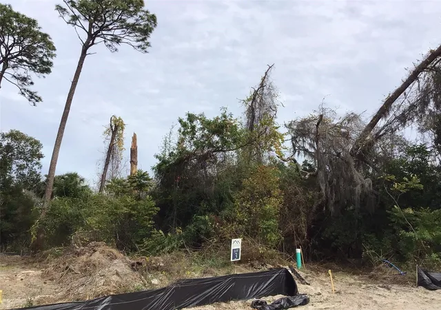 Photo 2 of Land for sale at 1299 Almaria Ct, Palm Harbor, FL 34683 | MLS# U8238018 | Listing updated on 2026-09-26