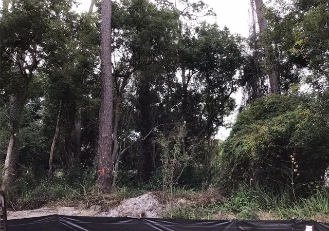 Photo 1 of Land for sale at 1294 Almaria Ct, Palm Harbor, FL 34683 | MLS# U8238027 | Listing updated on 2026-09-26