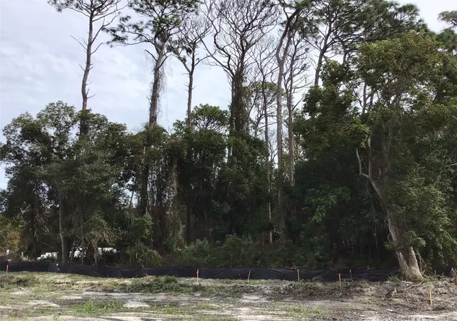 Photo 3 of Land for sale at 1294 Almaria Ct, Palm Harbor, FL 34683 | MLS# U8238027 | Listing updated on 2026-09-26