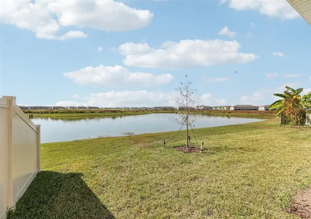 Homes for sale in San Antonio, FL | 32298 Wetland Bird Vw, San Antonio, FL 33576 | MLS# T3518025