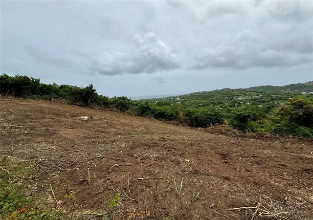 Photo 1 of Land for sale at Comunidad Villa Borinquén, Vieques, PR 00765 | MLS# PR9105773 | Listing updated on 2026-08-20