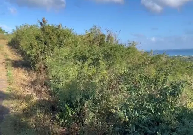 Photo 4 of Land for sale at Comunidad Villa Borinquén, Vieques, PR 00765 | MLS# PR9105773 | Listing updated on 2026-10-22