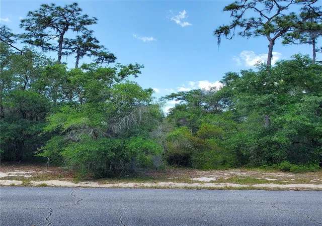 Homes for sale in Kissimmee, FL | 1345 St Augustine Ct, Kissimmee, FL 34759 | MLS# S5103635