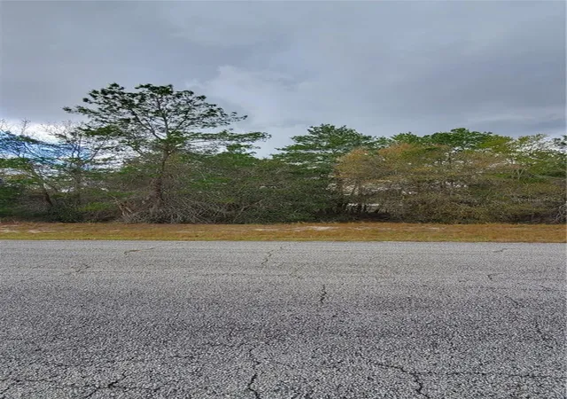 Photo 1 of Land for sale at 1428 Hillsborough Dr, Kissimmee, FL 34759 | MLS# O6199976 | Listing updated on 2026-10-13