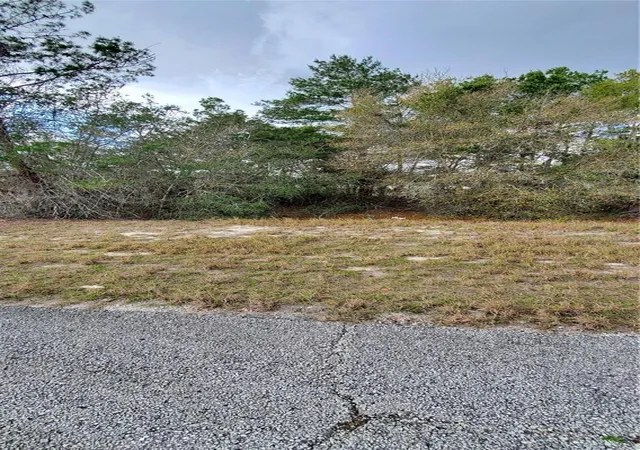 Photo 2 of Land for sale at 1428 Hillsborough Dr, Kissimmee, FL 34759 | MLS# O6199976 | Listing updated on 2026-10-13