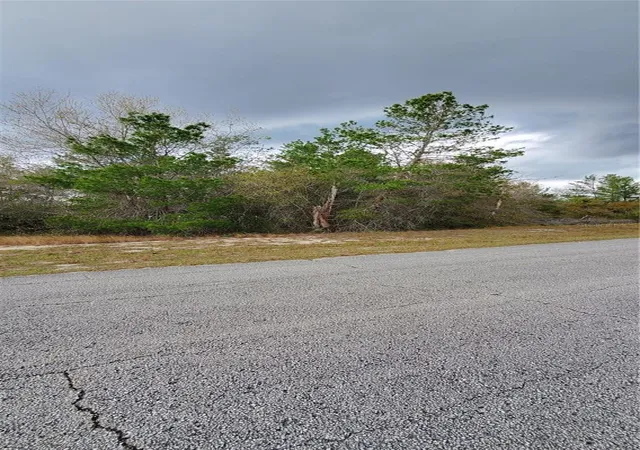 Photo 4 of Land for sale at 1428 Hillsborough Dr, Kissimmee, FL 34759 | MLS# O6199976 | Listing updated on 2026-10-13