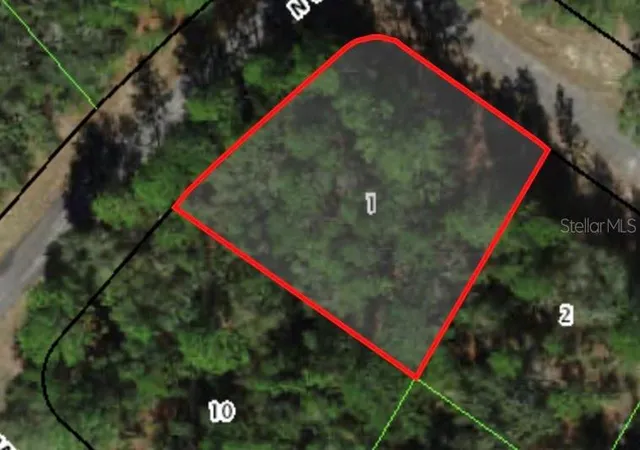 Homes for sale in Dunnellon, FL | 422 W Parrot Pl, Dunnellon, FL 34434 | MLS# A4609068