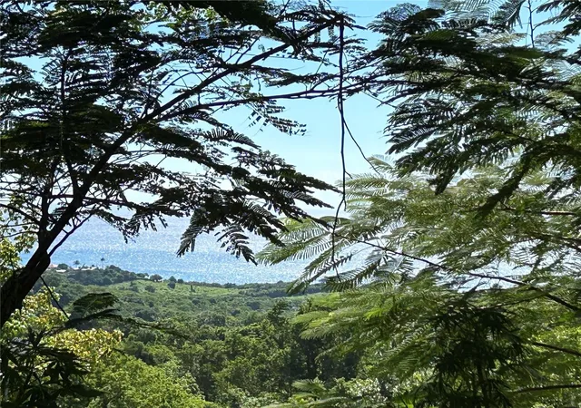Homes for sale in Vieques, PR | La Llave, Vieques, PR 00765 | MLS# PR9106056
