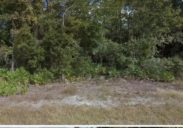 3rd image of 0 Mitchell Ave, Mims, FL 32754 | MLS# V4936042