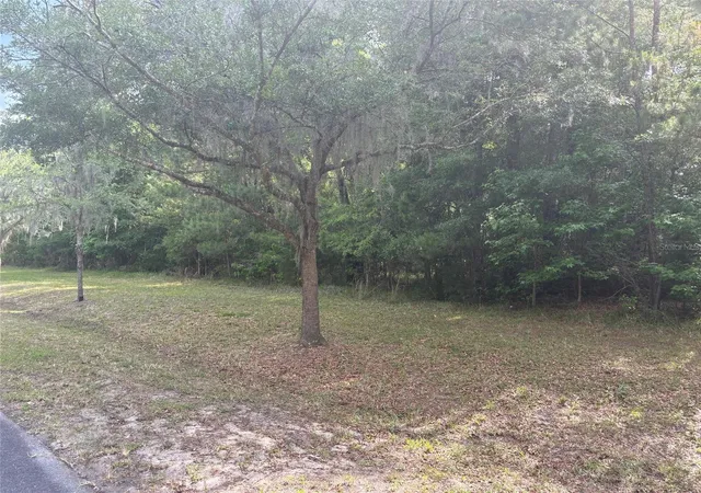 1st image of 6038 Nw 90th St, Gainesville, FL 32653 | MLS# GC521792