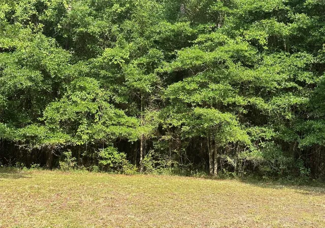 3rd image of 6038 Nw 90Th St, Gainesville, FL 32653 | MLS# GC521792