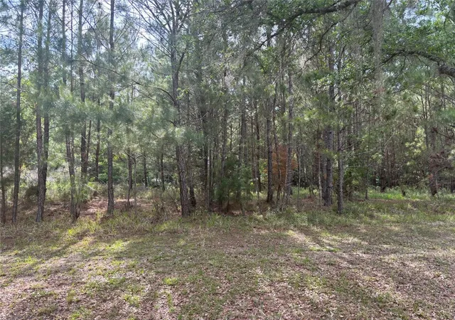 4th image of 6038 Nw 90Th St, Gainesville, FL 32653 | MLS# GC521792