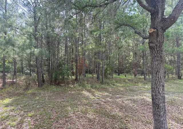 5th image of 6038 Nw 90Th St, Gainesville, FL 32653 | MLS# GC521792