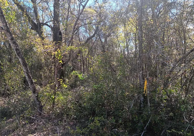 Photo 1 of Land for sale at 145 Palm Dr, Bronson, FL 32621 | MLS# OM678400 | Listing updated on 2026-03-30