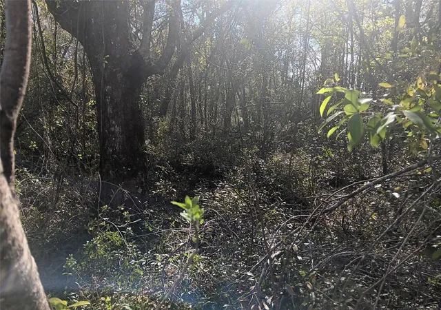 Photo 2 of Land for sale at 145 Palm Dr, Bronson, FL 32621 | MLS# OM678400 | Listing updated on 2026-03-30