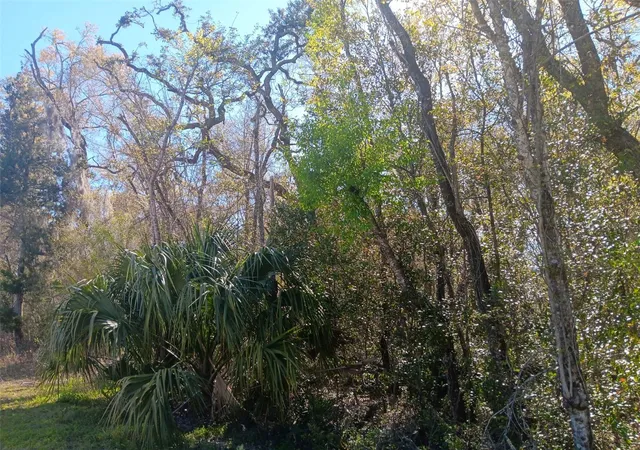 Photo 3 of Land for sale at 145 Palm Dr, Bronson, FL 32621 | MLS# OM678400 | Listing updated on 2026-03-30
