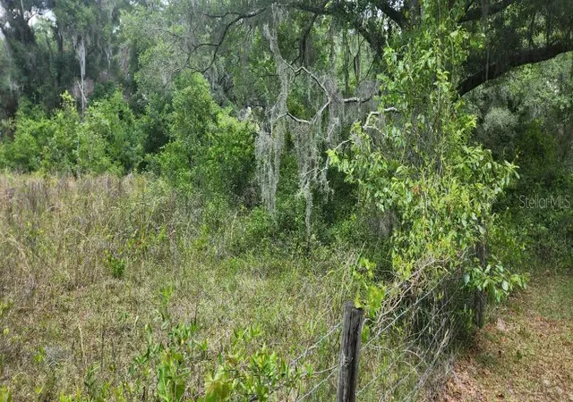 2nd image of Wpa Rd, Brooksville, FL 34601 | MLS# U8242303