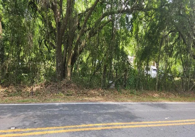 3rd image of Wpa Rd, Brooksville, FL 34601 | MLS# U8242303