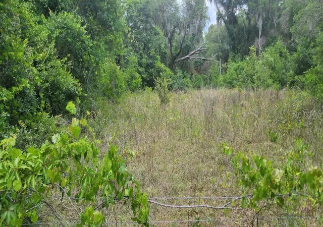 4th image of Wpa Rd, Brooksville, FL 34601 | MLS# U8242303