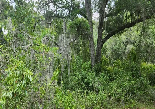 5th image of Wpa Rd, Brooksville, FL 34601 | MLS# U8242303