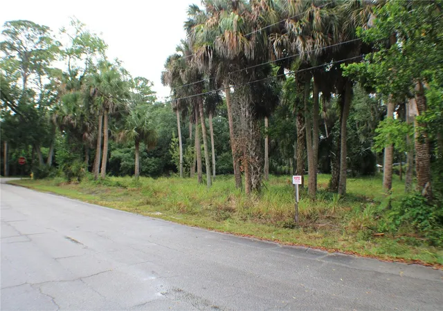 2nd image of 48 Valley St, Port Orange, FL 32129 | MLS# NS1081559