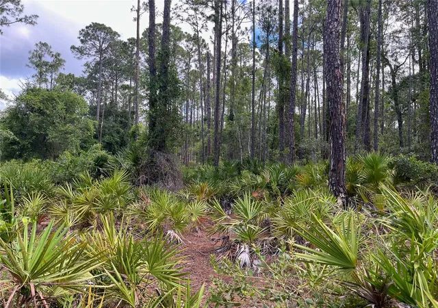 Photo 2 of Land for sale at 222 Marie Ave, Georgetown, FL 32139 | MLS# OK224081 | Listing updated on 2026-08-17