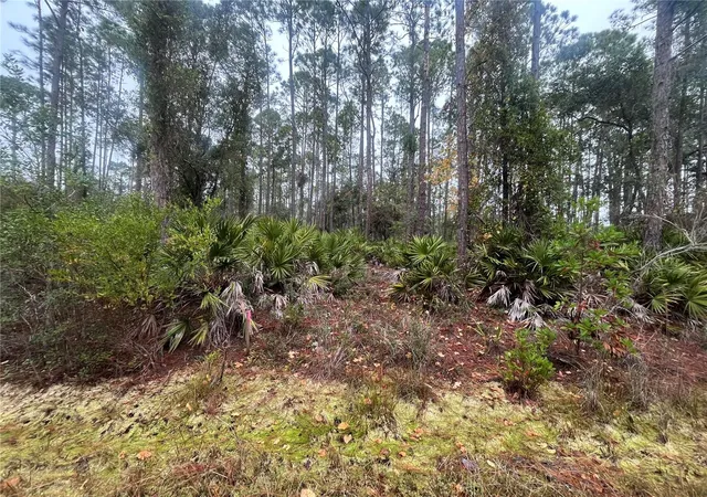 Photo 1 of Land for sale at 222 Marie Ave, Georgetown, FL 32139 | MLS# OK224081 | Listing updated on 2026-08-17