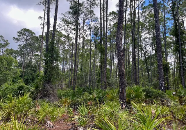 Photo 3 of Land for sale at 222 Marie Ave, Georgetown, FL 32139 | MLS# OK224081 | Listing updated on 2026-08-17