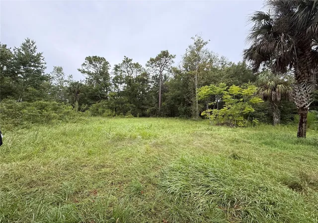 Homes for sale in Homosassa, FL | 7435 W Lincoln Ln, Homosassa, FL 34448 | MLS# G5082700
