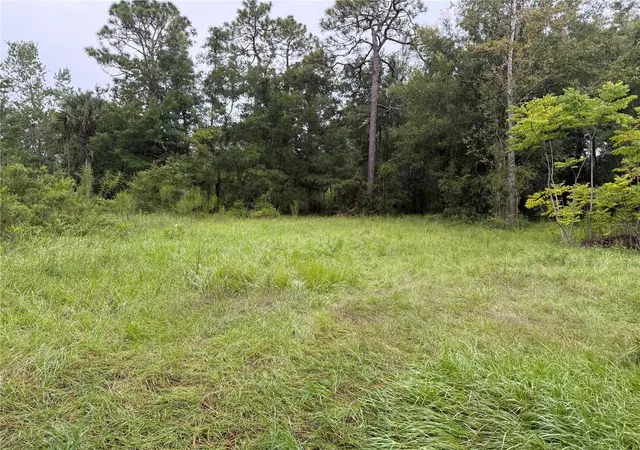 Homes for sale in Homosassa, FL | 7435 W Lincoln Ln, Homosassa, FL 34448 | MLS# G5082700