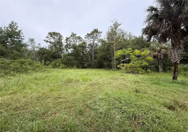 Homes for sale in Homosassa, FL | 7435 W Lincoln Ln, Homosassa, FL 34448 | MLS# G5082700
