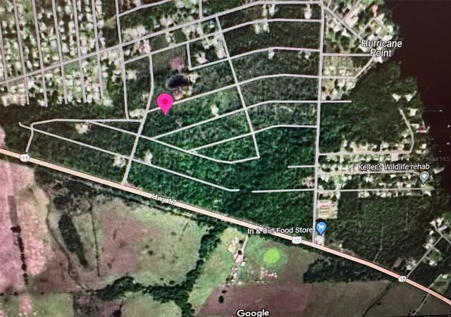 Photo 3 of Land for sale at 225 Colonial Ave, Crescent City, FL 32112 | MLS# A4612029 | Listing updated on 2026-10-06