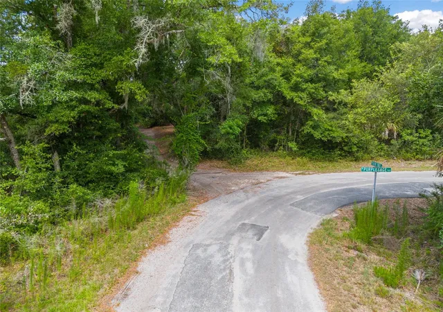 Photo 3 of Land for sale at 12180 W Olive Tree Ln, Crystal River, FL 34428 | MLS# T3531253 | Listing updated on 2026-08-12