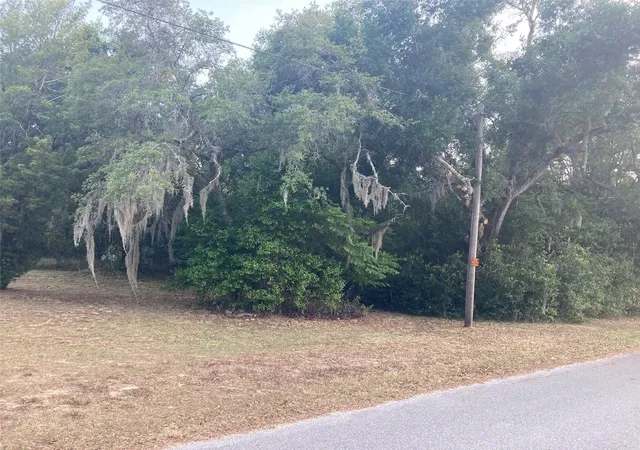 4th image of 2830 Laurel Ave, Lake Wales, FL 33898 | MLS# T3531750
