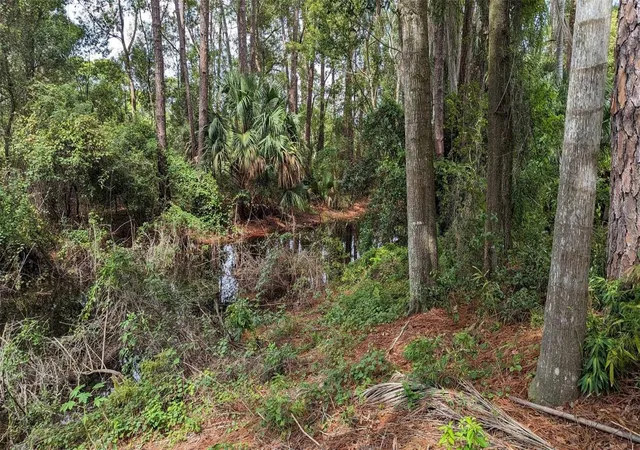 7th image of 268 Almyra Dr, Lake Mary, FL 32746 | MLS# S5106212