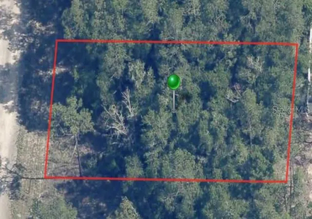 Homes for sale in Dunnellon, FL | 9861 N Baldwin Ter, Dunnellon, FL 34434 | MLS# A4613134