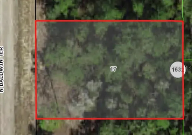 Homes for sale in Dunnellon, FL | 9861 N Baldwin Ter, Dunnellon, FL 34434 | MLS# A4613134