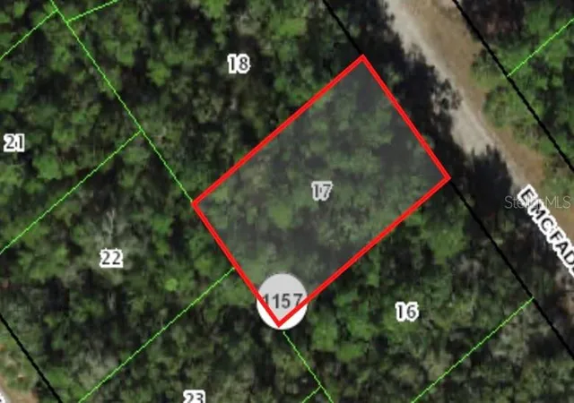 Homes for sale in Dunnellon, FL | 127 E Mcfaddin Pl, Dunnellon, FL 34434 | MLS# A4613137