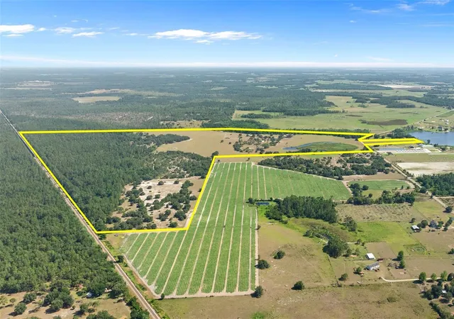 Photo 5 of Sale Pending at 1980 Lake Buffum Rd E, Fort Meade, FL 33841 | MLS# T3533019 | Listing updated on 2026-06-25