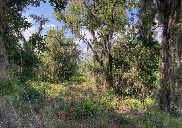 2nd image of 0 3rd Ave, Babson Park, FL 33827 | MLS# T3539684